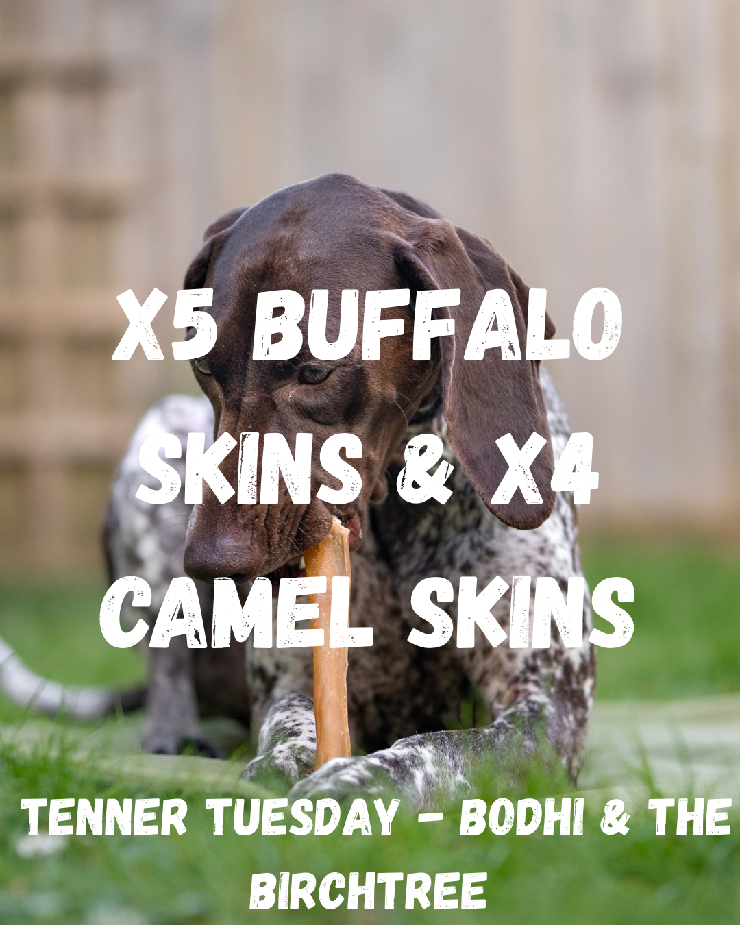 X5 Buffalo Skins & X4 Camel Skins - Tenner Tuesday - Bodhi & The Birchtree