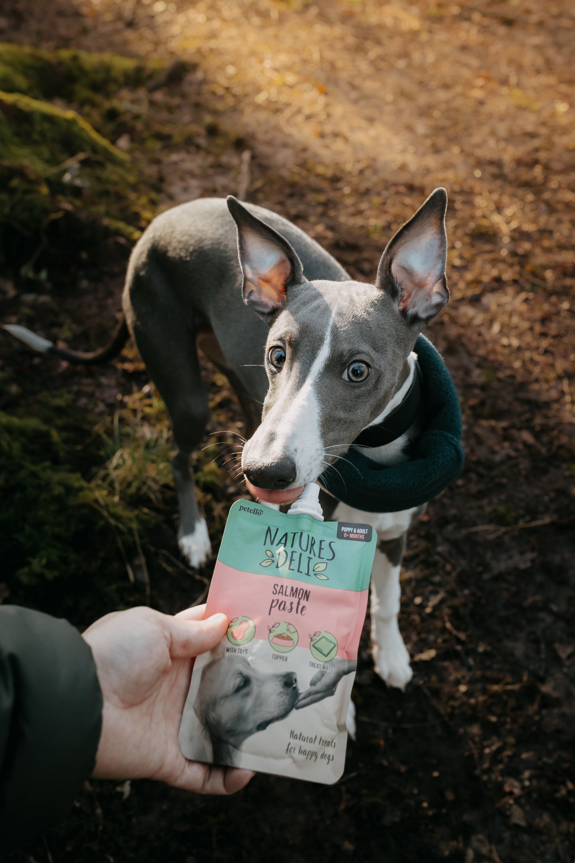 Natures Deli Paste - Bodhi &amp; The Birchtree