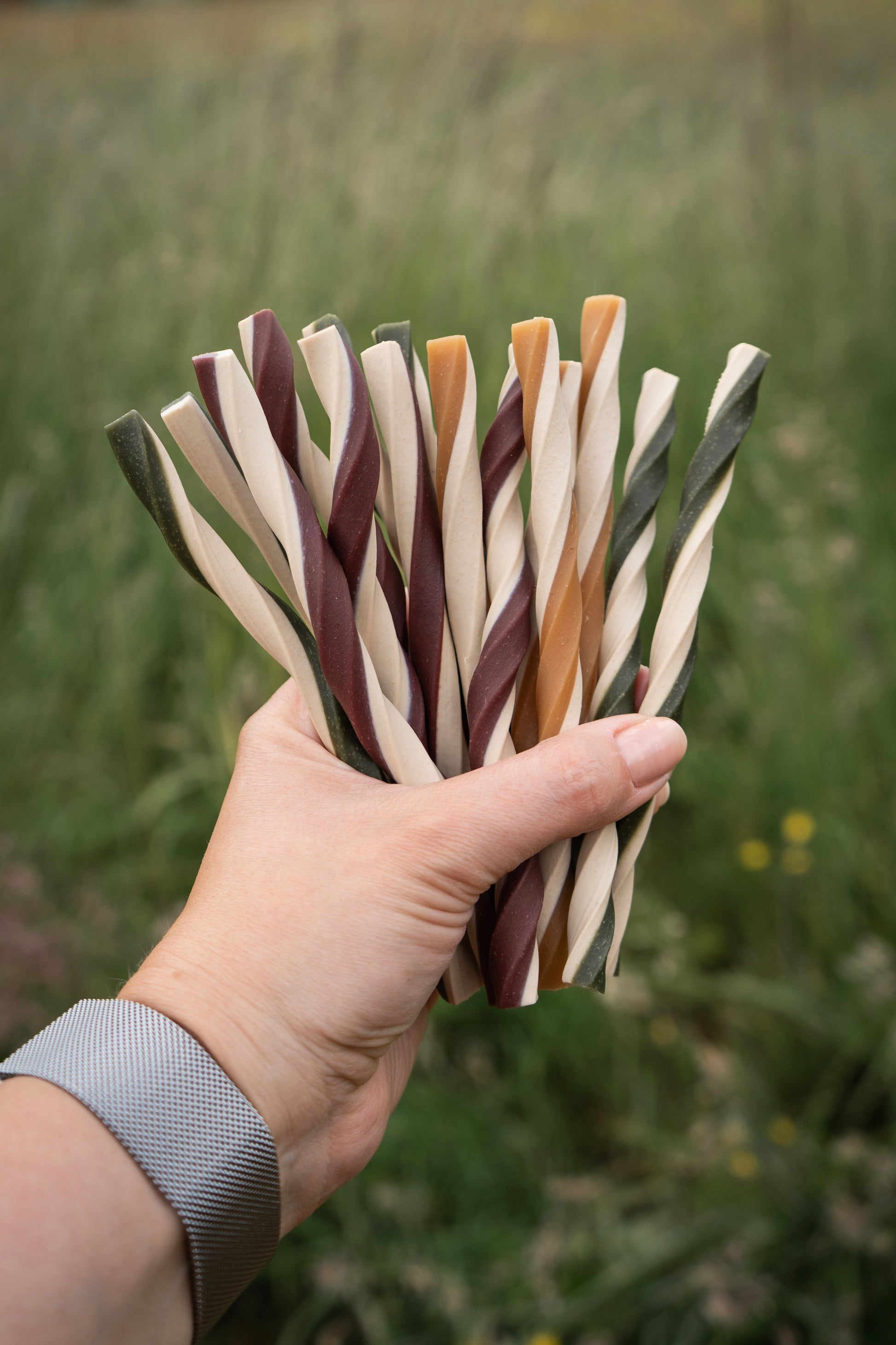 Bodhi & The Birchtree Veggie Twists Nab Bag - Bodhi & The Birchtree