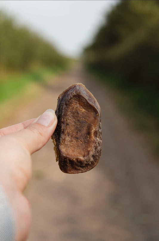 Venison Tongue