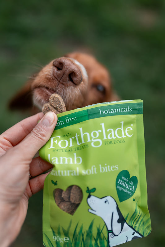 Forthglade Soft Bites Treats Lamb Grain Free - Bodhi & The Birchtree