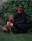 Bodhi & The Birchtree Polar Fleece Headbands - Bodhi & The Birchtree