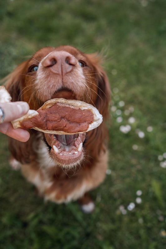 Duck Filled Rabbit Ear - Bodhi & The Birchtree