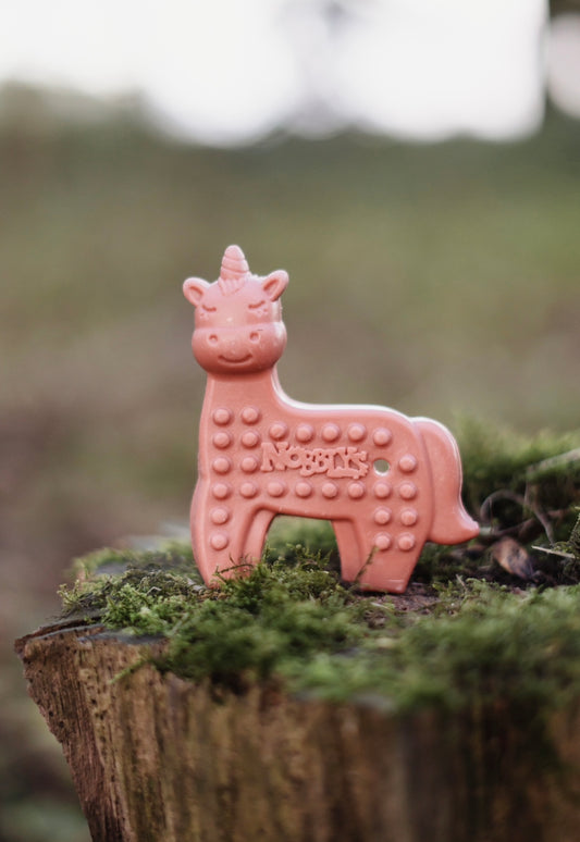 Unicorn Strawberry Veg Chew - Bodhi & The Birchtree