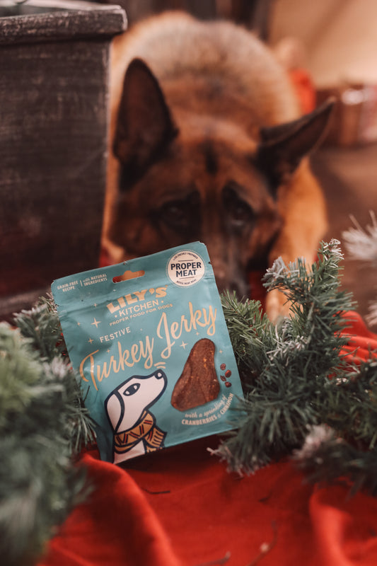 Lily’s Kitchen Turkey Jerky - Bodhi & The Birchtree