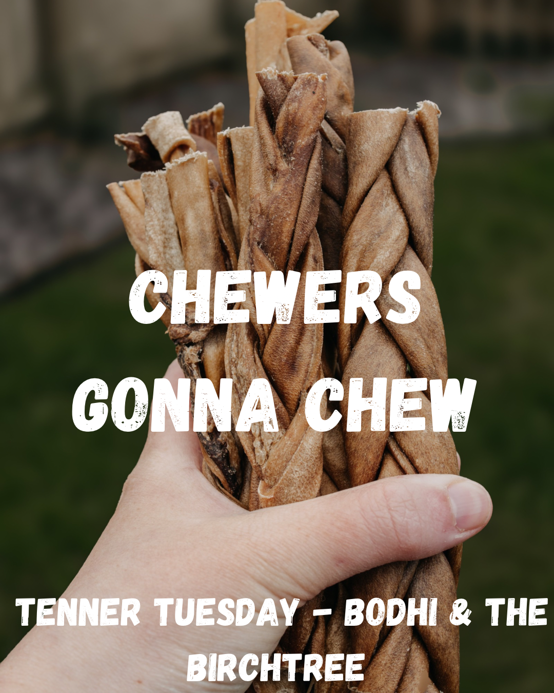 Chewers Gonna Chew - Fiver Friday - Bodhi & The Birchtree