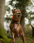 ‘The Moose’ Moss Green & Orange Polar Fleece Snood