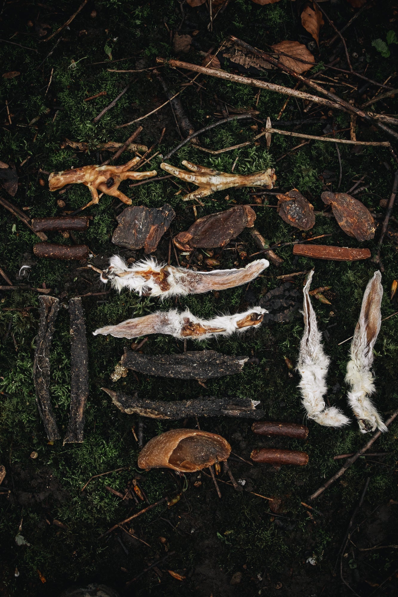 14 for £5 Chew Box - Offer - Bodhi & The Birchtree