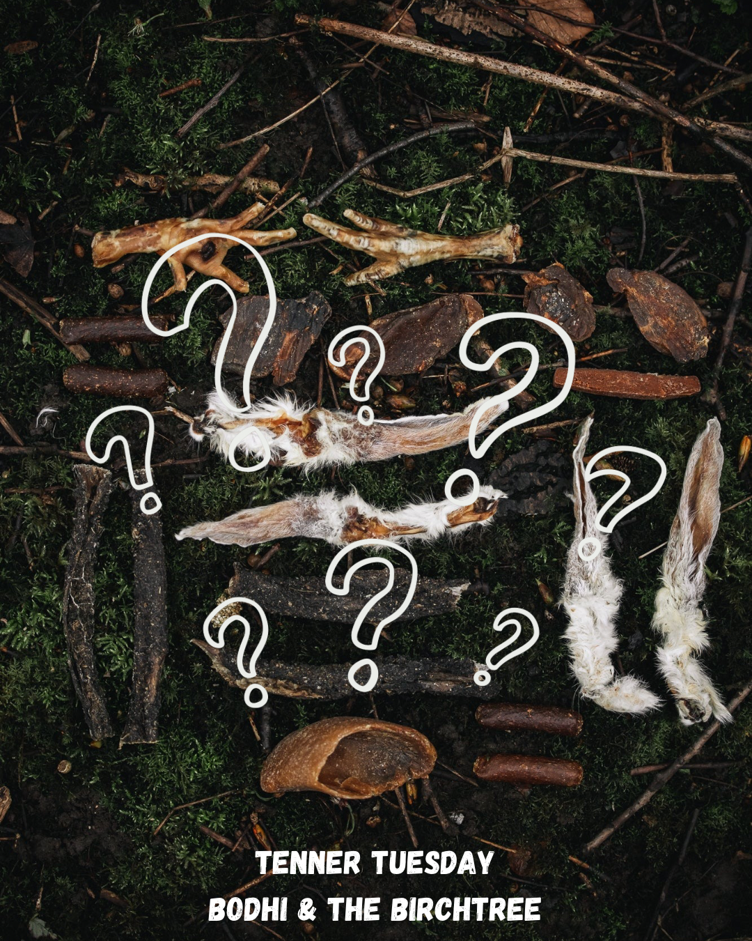 Mystery Bundle (worth £12) - Fiver Friday
