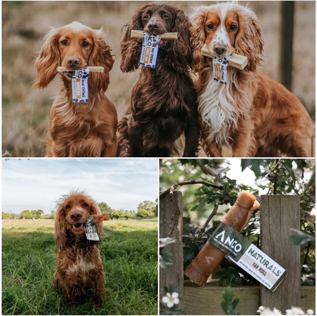 Yak Chew Bundle - Tenner Tuesday