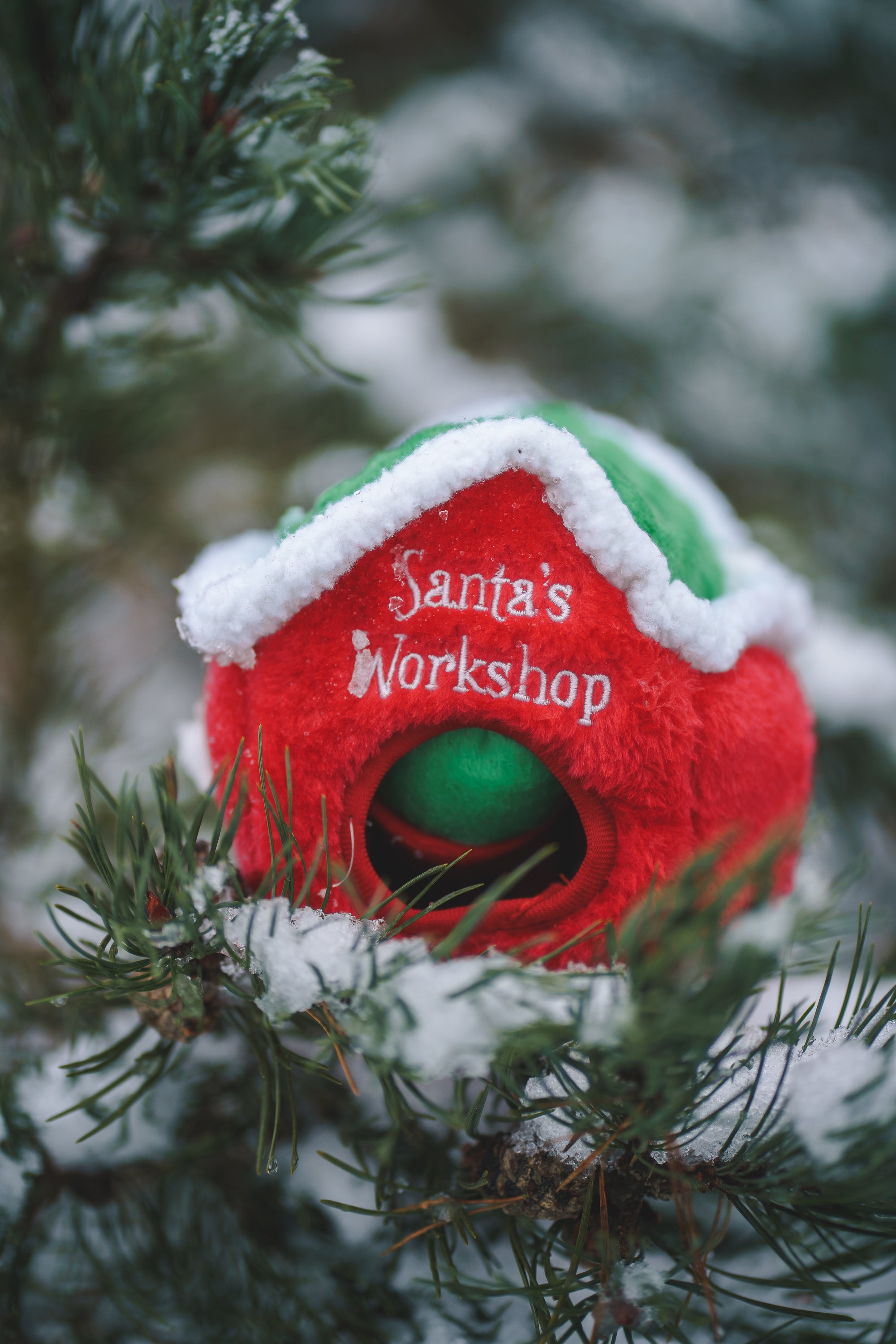 Holiday Burrow - Santa’s Workshop - Bodhi & The Birchtree