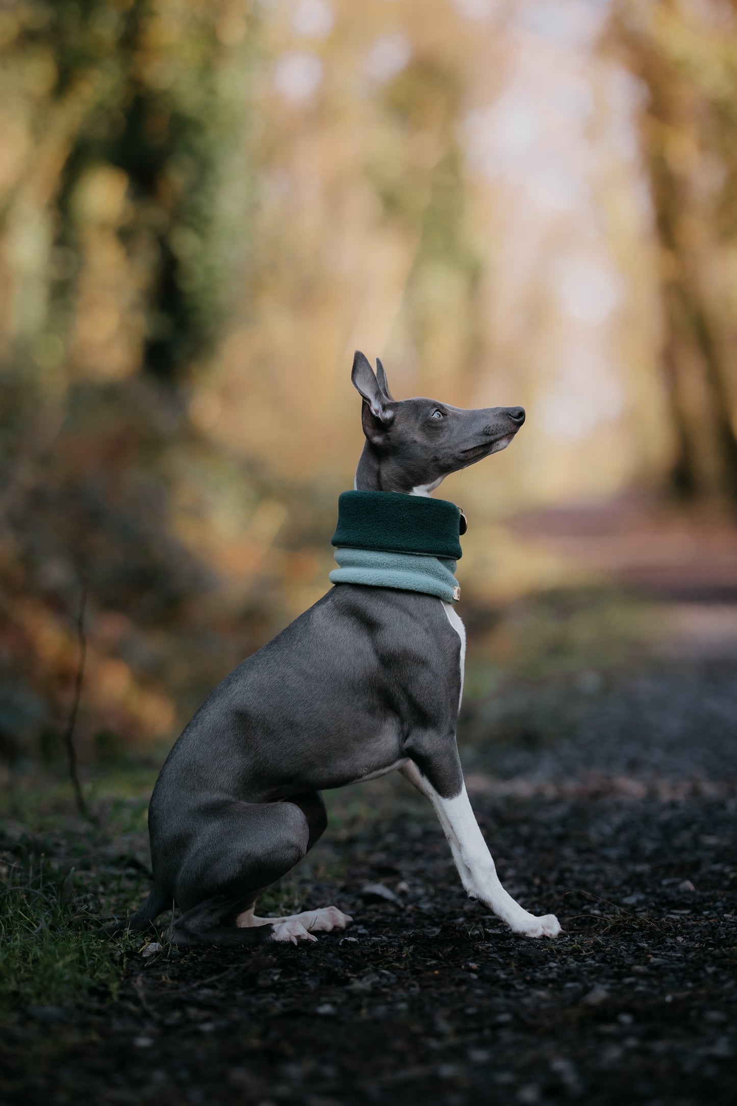 Limited Edition ‘The Nimble’ Sage & Bottle Green Polar Fleece Snood - Bodhi & The Birchtree