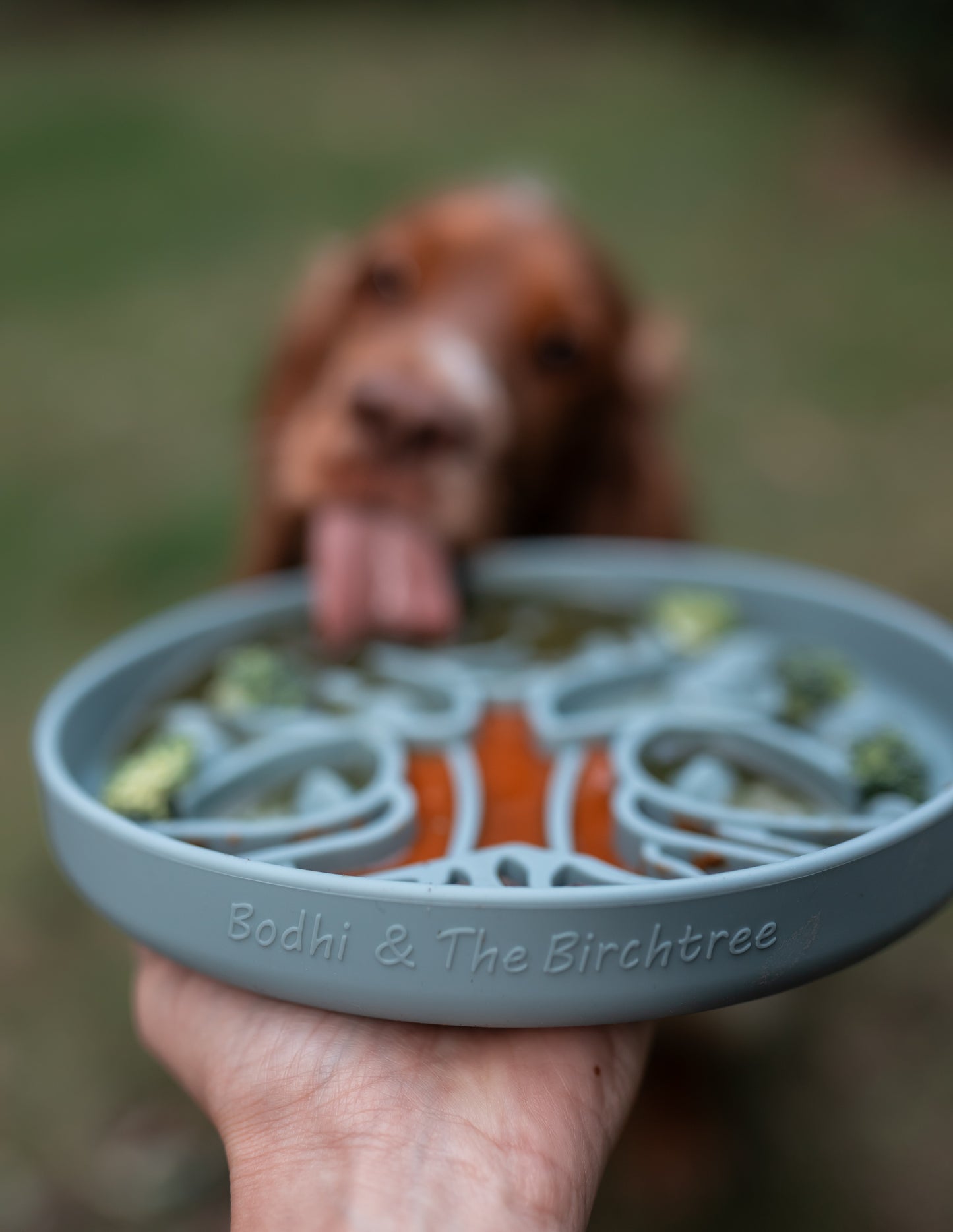 Bodhi & The Birchtree The Evergreen Collection - Alpine Slow Feeder Bowl