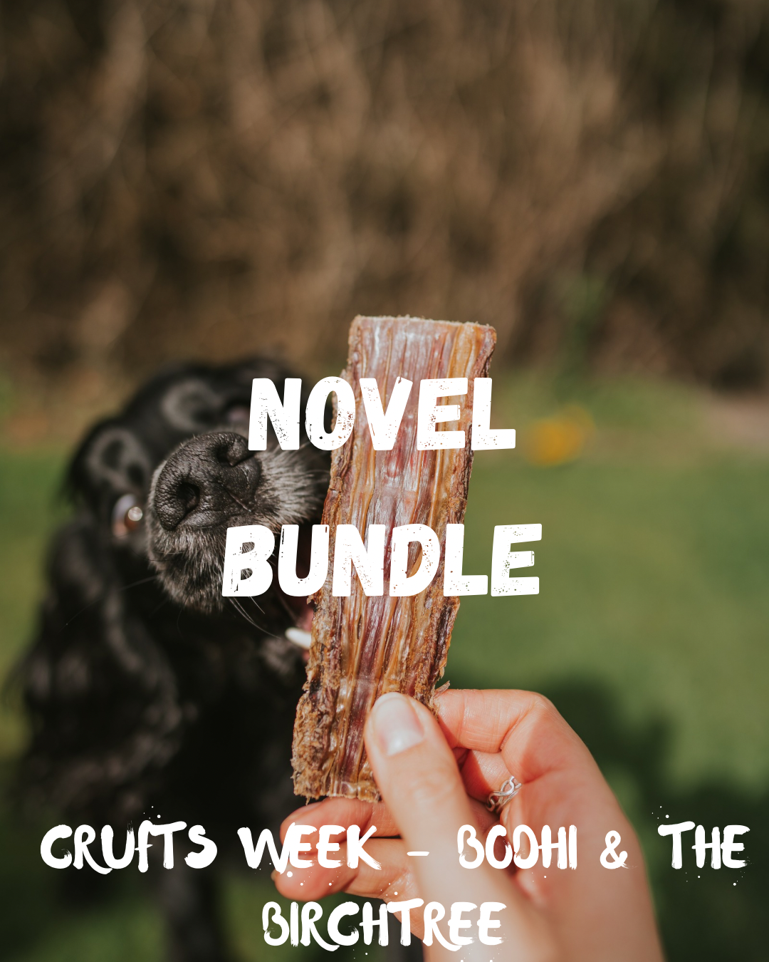 Crufts Offer - Novel Bundle - Bodhi & The Birchtree