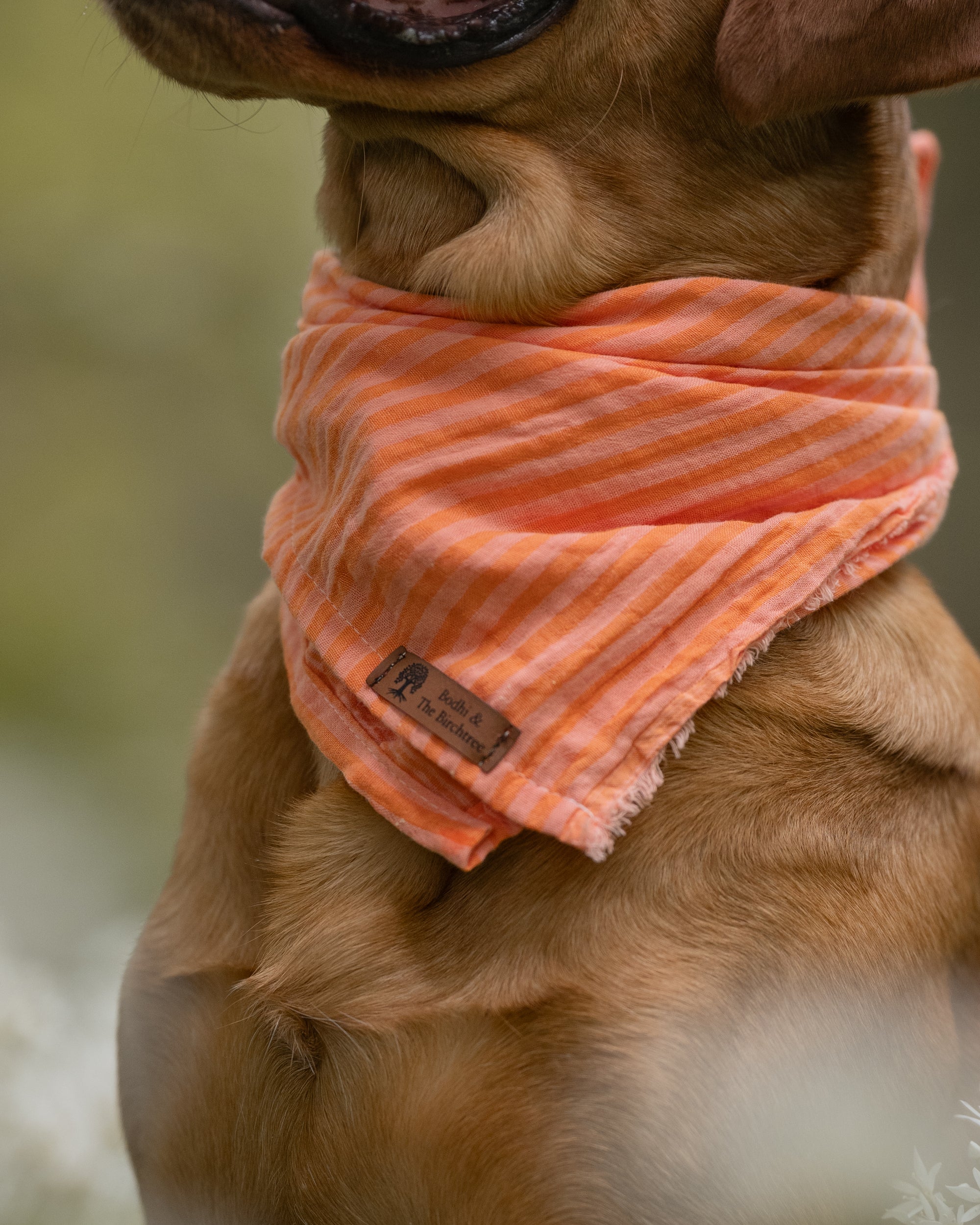 Peach Stripe Summer Cooling Bandana - Bodhi & The Birchtree