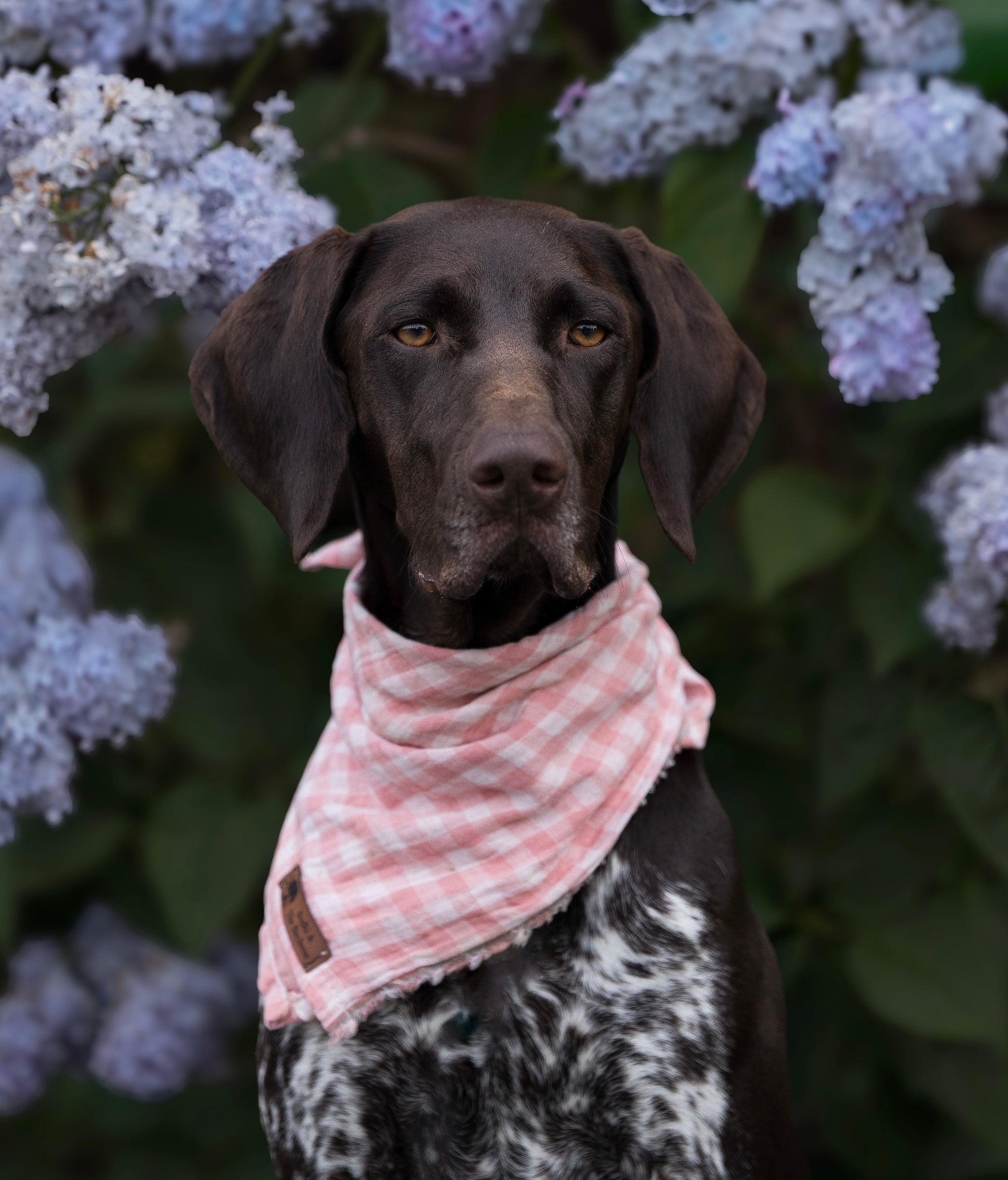 Pink Gingham Summer Cooling Bandana - Bodhi & The Birchtree