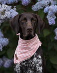 Pink Gingham Summer Cooling Bandana - Bodhi & The Birchtree