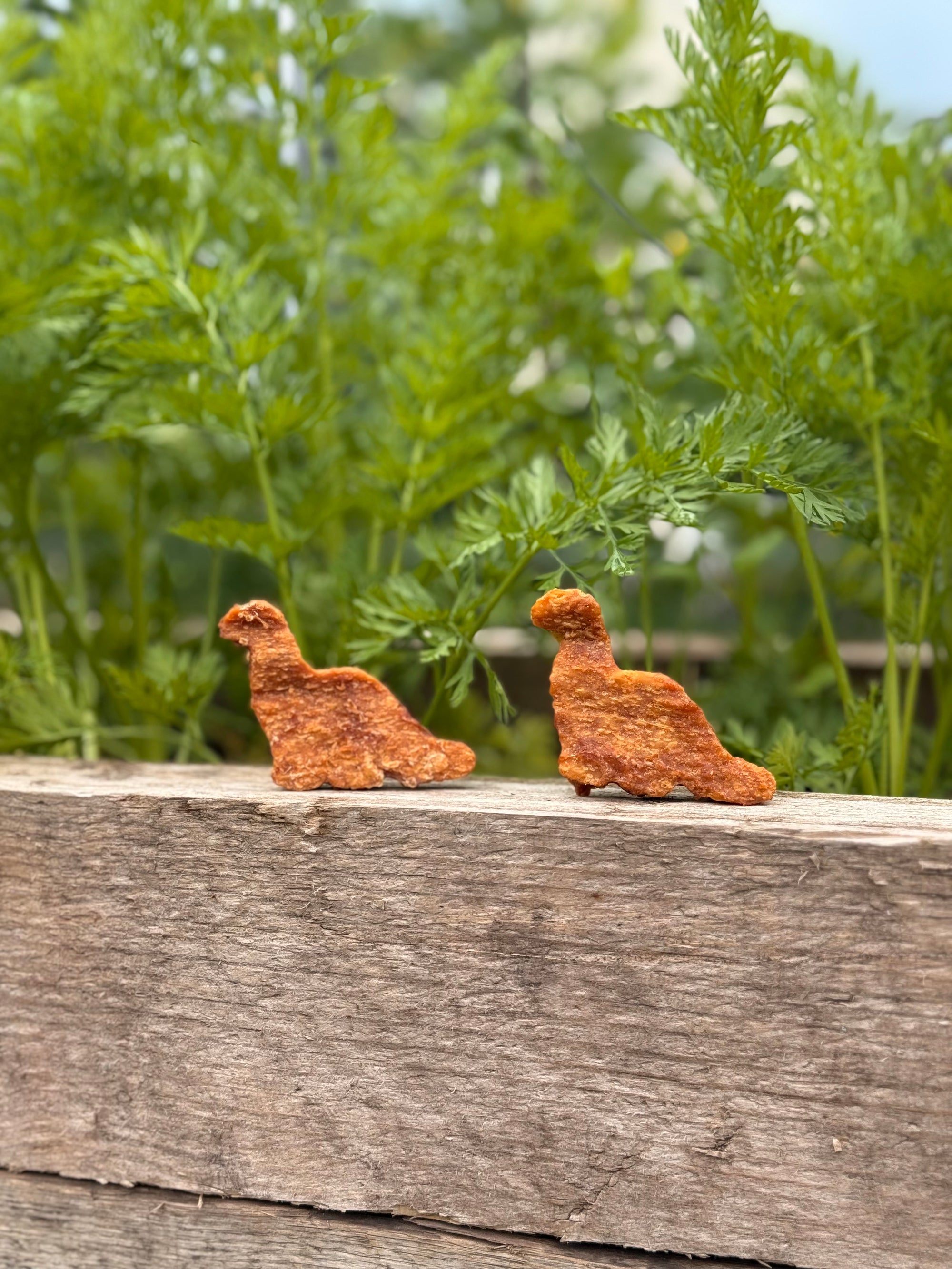 Brachiosaurus Dinosaur Nugget - Bodhi & The Birchtree