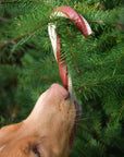 Candy Cane Veg Chew - Bodhi & The Birchtree