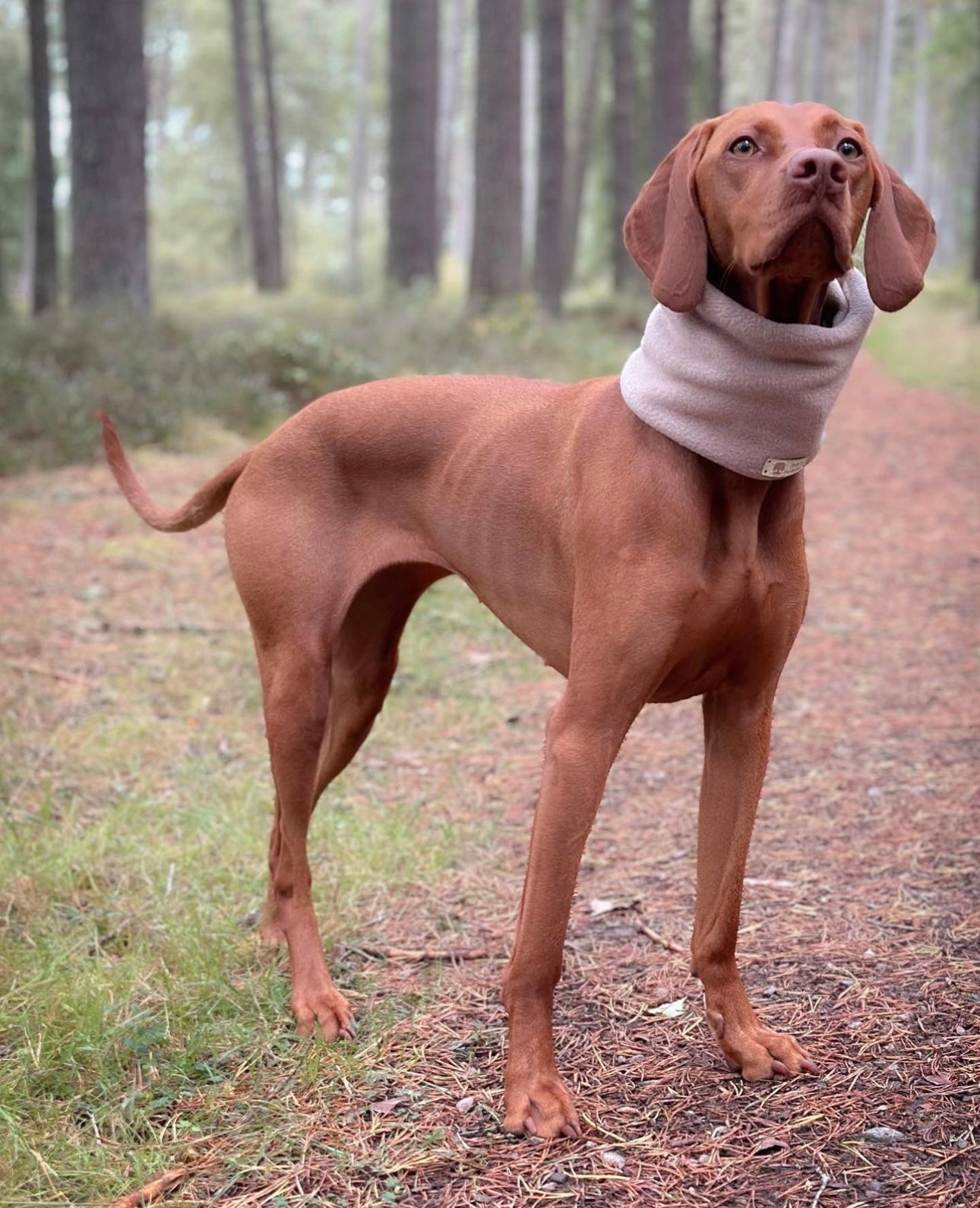 Bodhi & The Birchtree Mushroom & Cream Polar Fleece Snood - Bodhi & The Birchtree