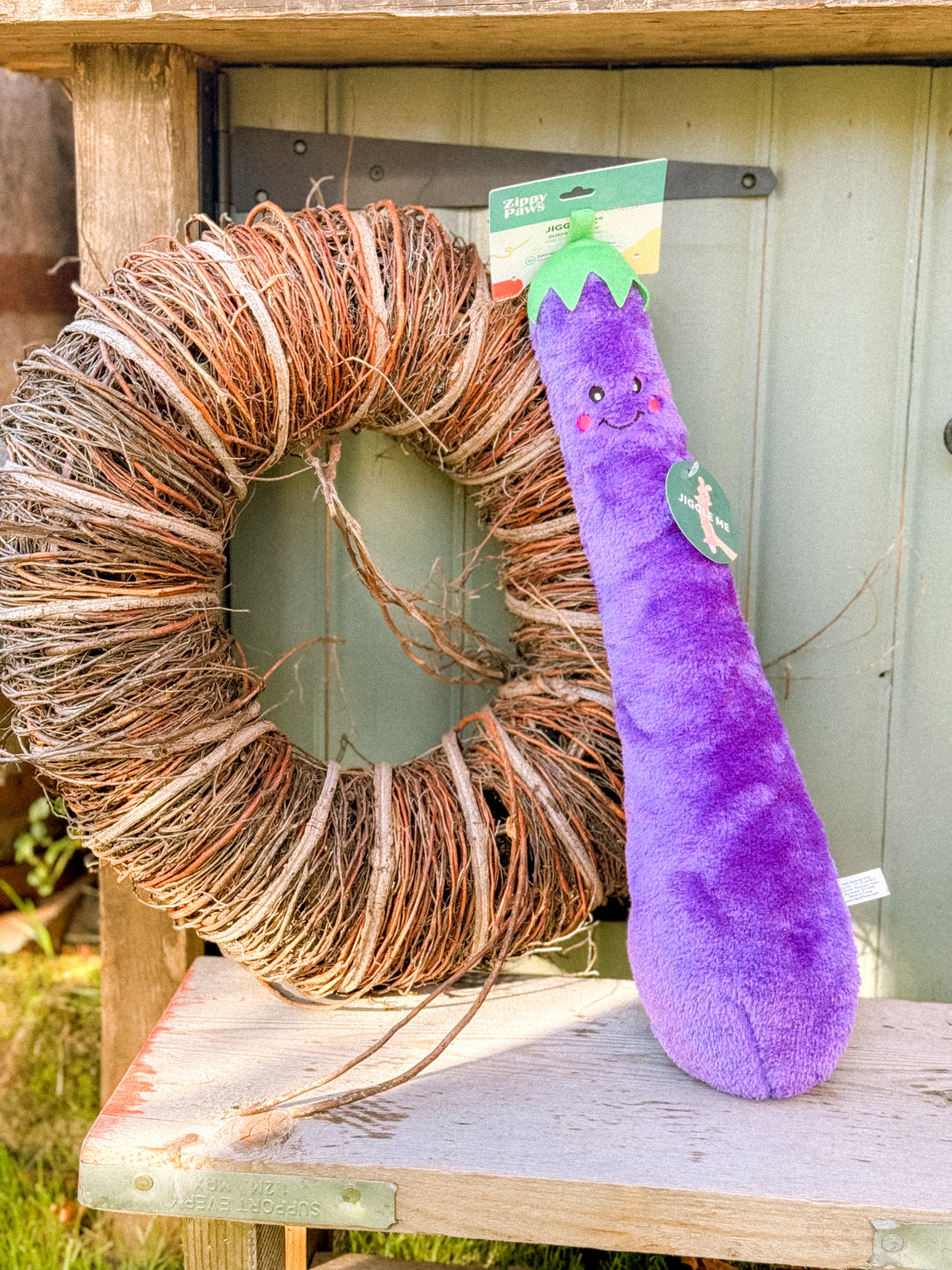 Zippy Paws Jigglerz Eggplant Toy - Bodhi & The Birchtree