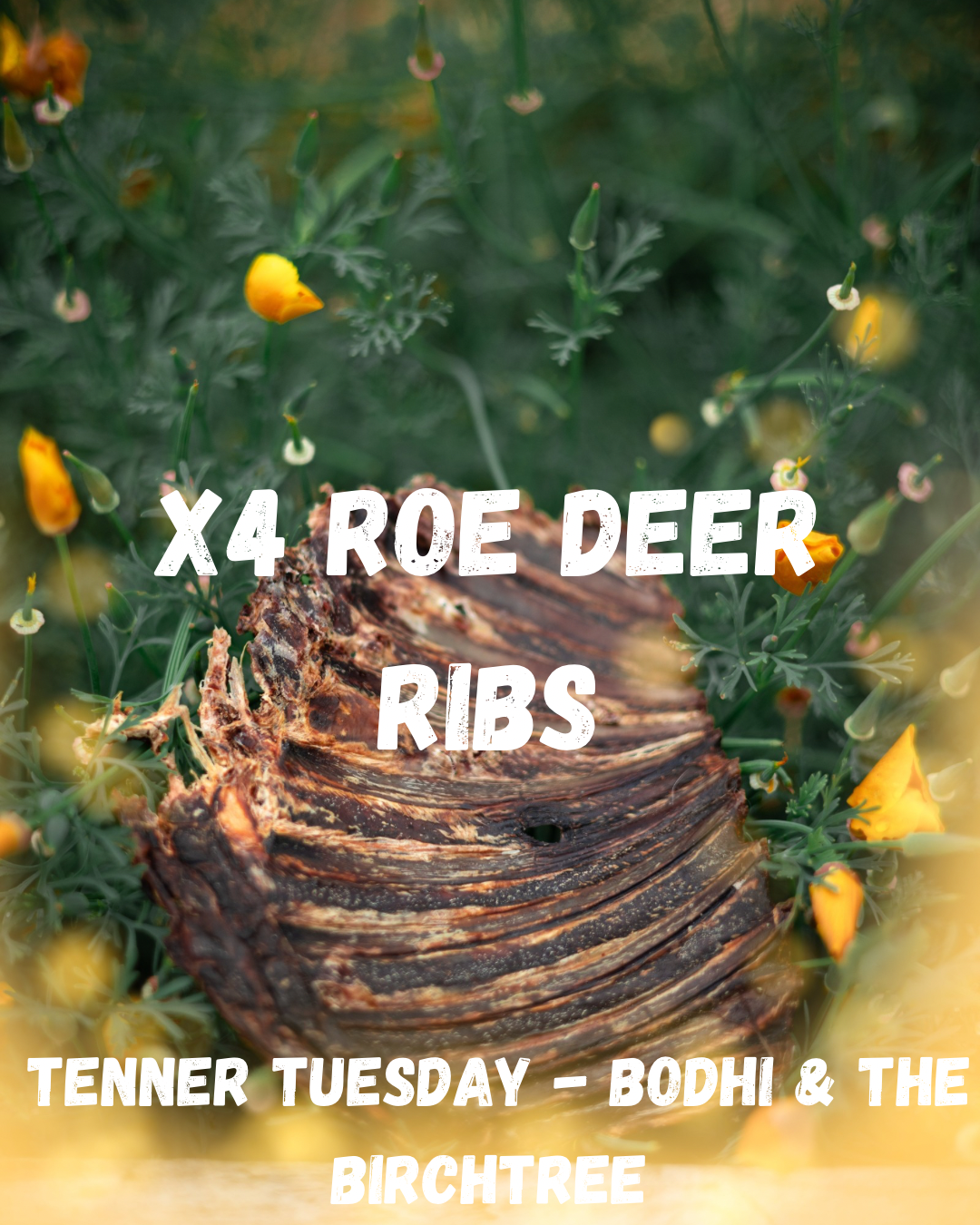 X4 Roe Deer Ribs - Tenner Tuesday - Bodhi & The Birchtree