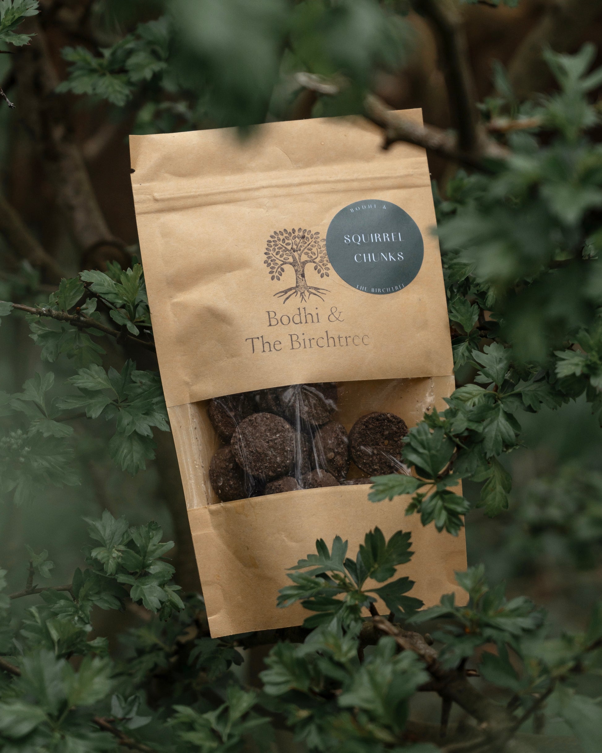 Bodhi & The Birchtree Squirrel Chunks 80g - Bodhi & The Birchtree