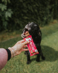 Lily’s Kitchen On-The-Go Beef Bar 40g - Bodhi & The Birchtree