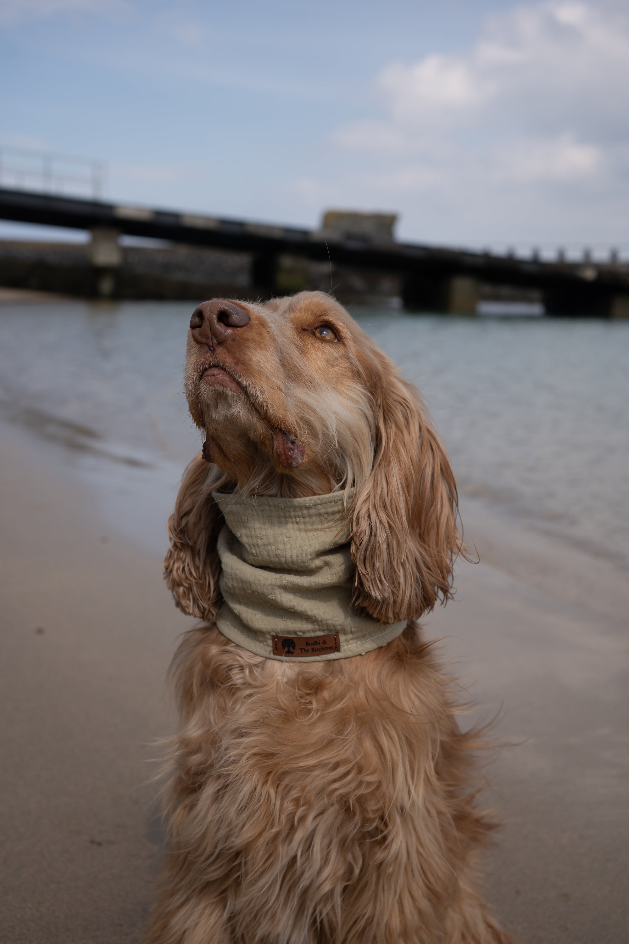 Olive Green Summer Cooling Bandana - Bodhi & The Birchtree