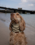 Olive Green Summer Cooling Bandana - Bodhi & The Birchtree