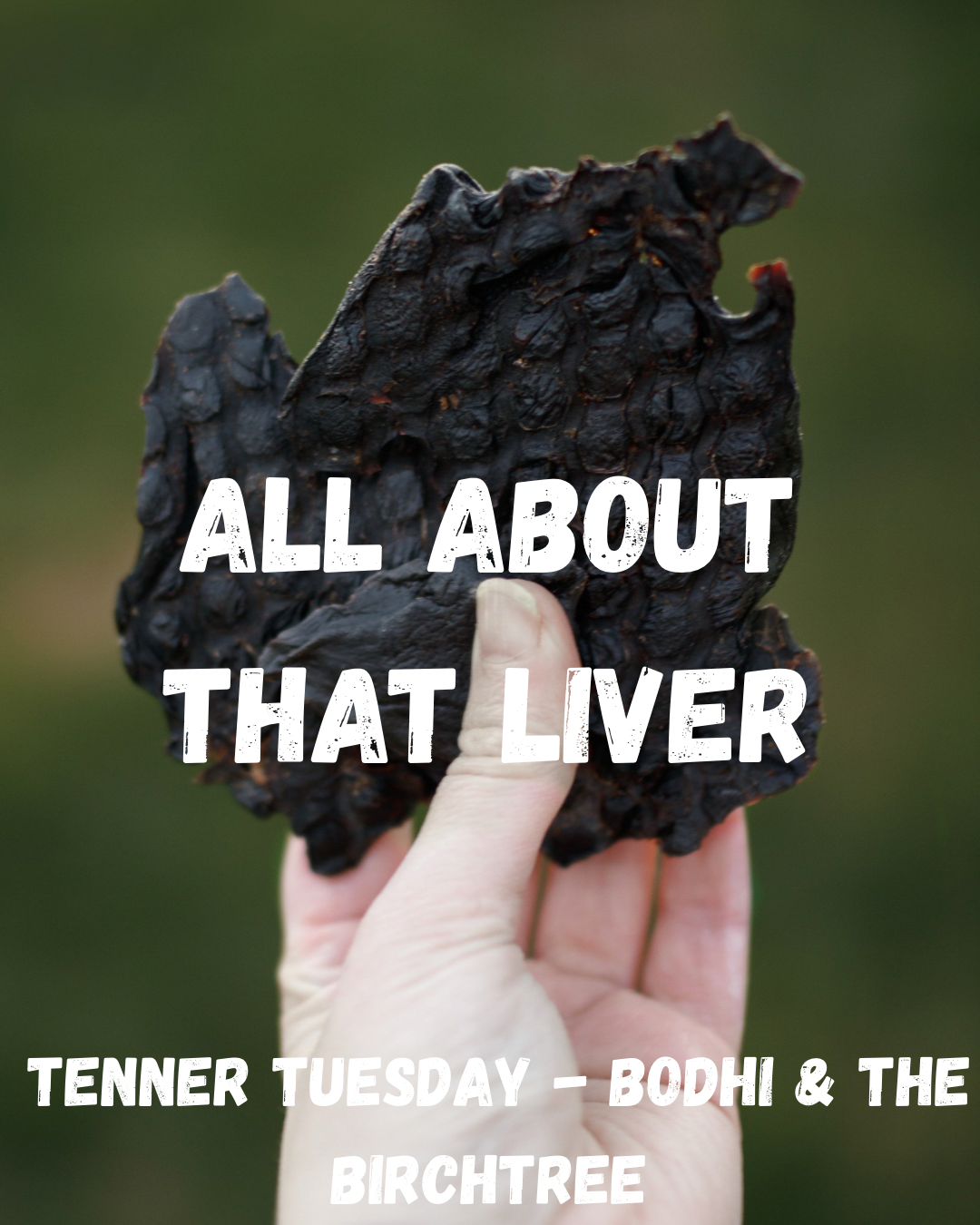 All About That Liver - Fiver Friday - Bodhi & The Birchtree