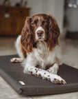 Bodhi & The Birchtree Waterproof Boot/Crate Mattress