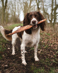 Giant Paddywhack - Bodhi & The Birchtree