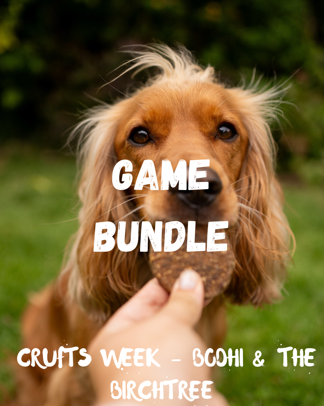 Crufts Offer - Game Bundle - Bodhi & The Birchtree