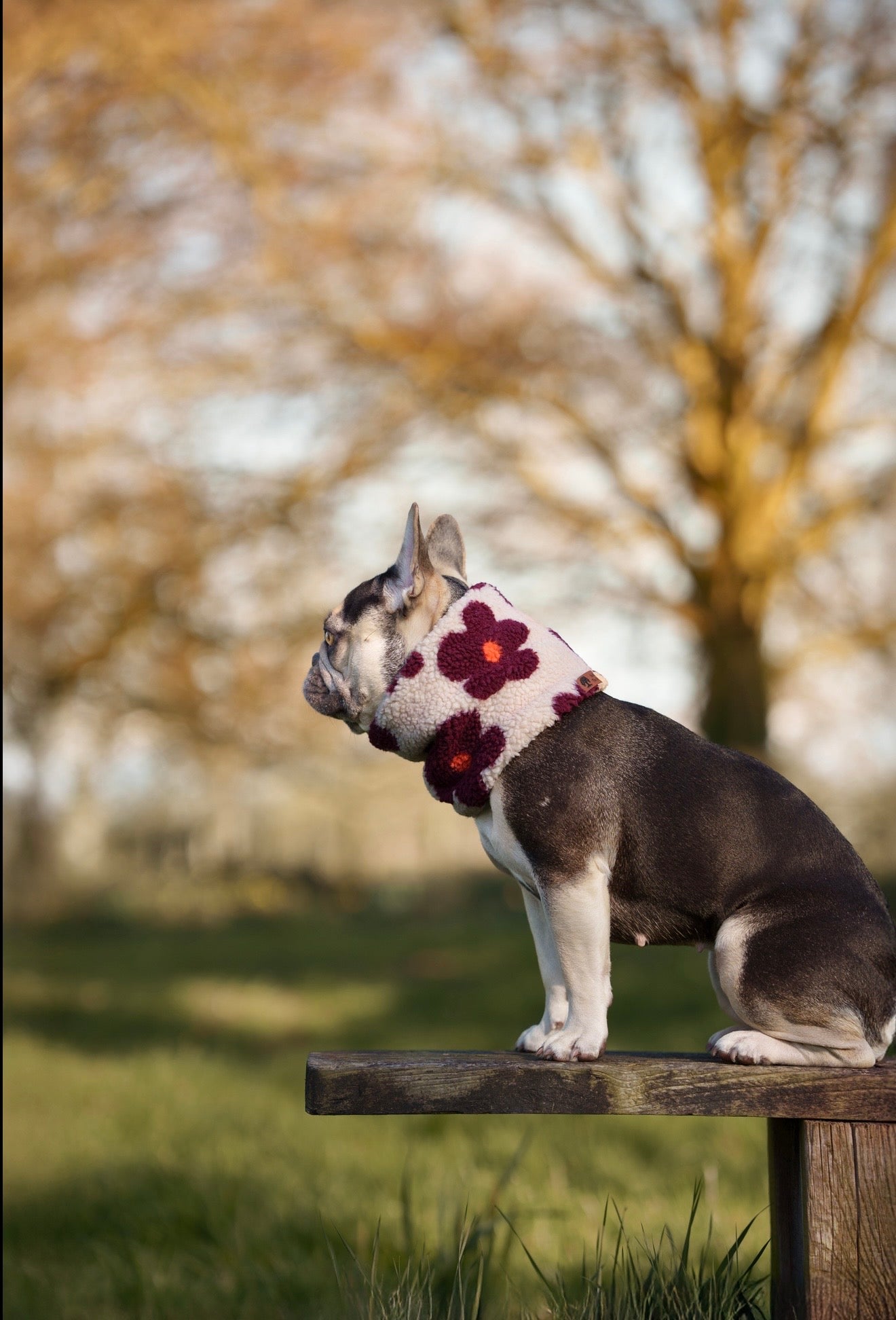 Teddy Fleece Vibrant Flowers Snood - Beige - Bodhi & The Birchtree