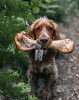 Anco Ostrich Dino Bone - Bodhi & The Birchtree