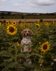 Sunflower Bandana