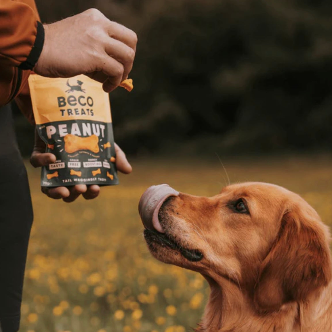 Beco Peanut with Coconut & Turmeric Treats