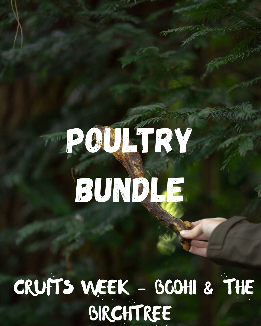 Crufts Offer - Poultry Bundle - Bodhi & The Birchtree