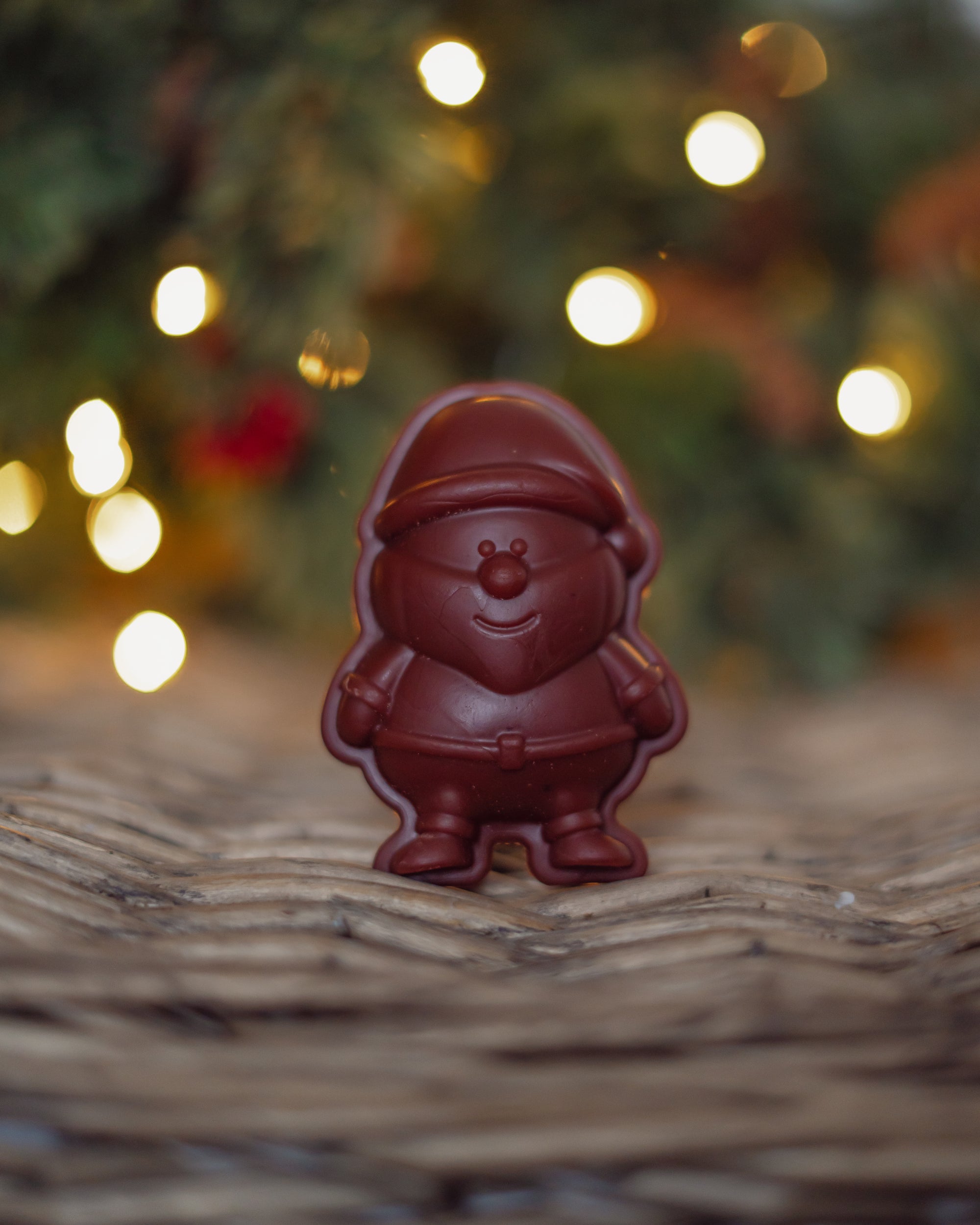 Santa Veggie Chew - Bodhi & The Birchtree