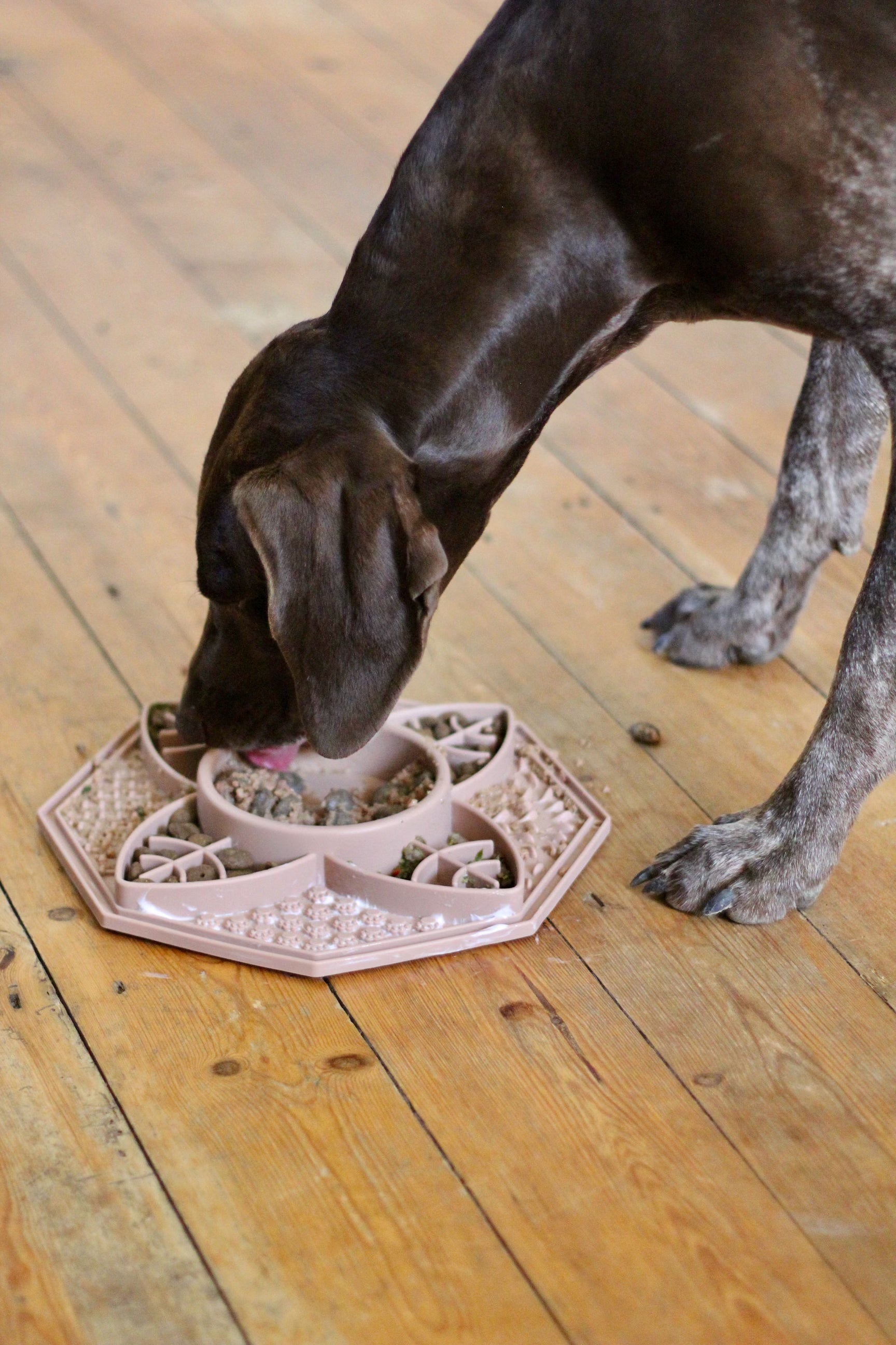 Bodhi &amp; The Birchtree Mandala Slow Feeder In Dusky Pink - Bodhi &amp; The Birchtree