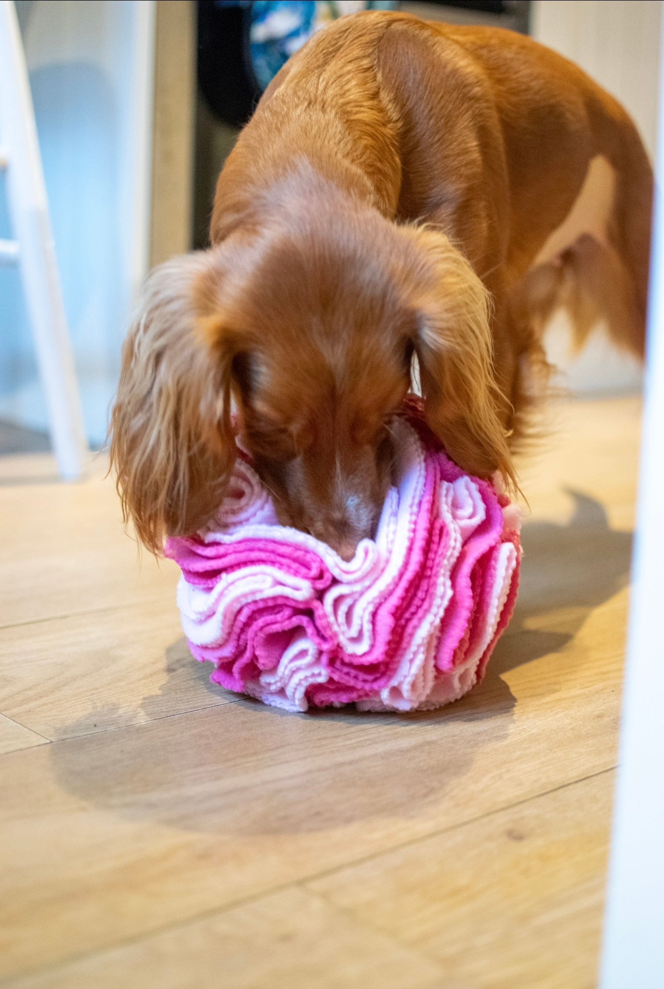 Bodhi & The Birchtree Large Pink Snuffle Ball - Bodhi & The Birchtree