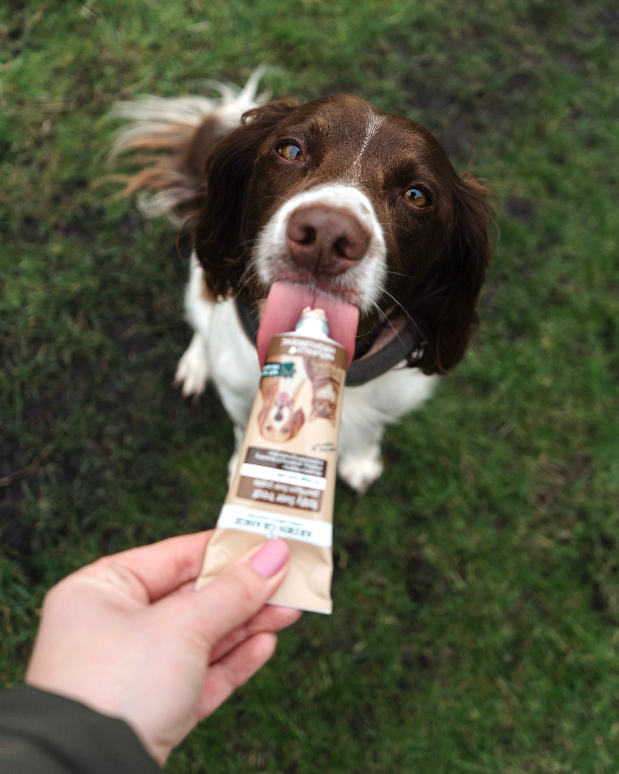 Arden Grange Tasty Liver Treat - Bodhi & The Birchtree