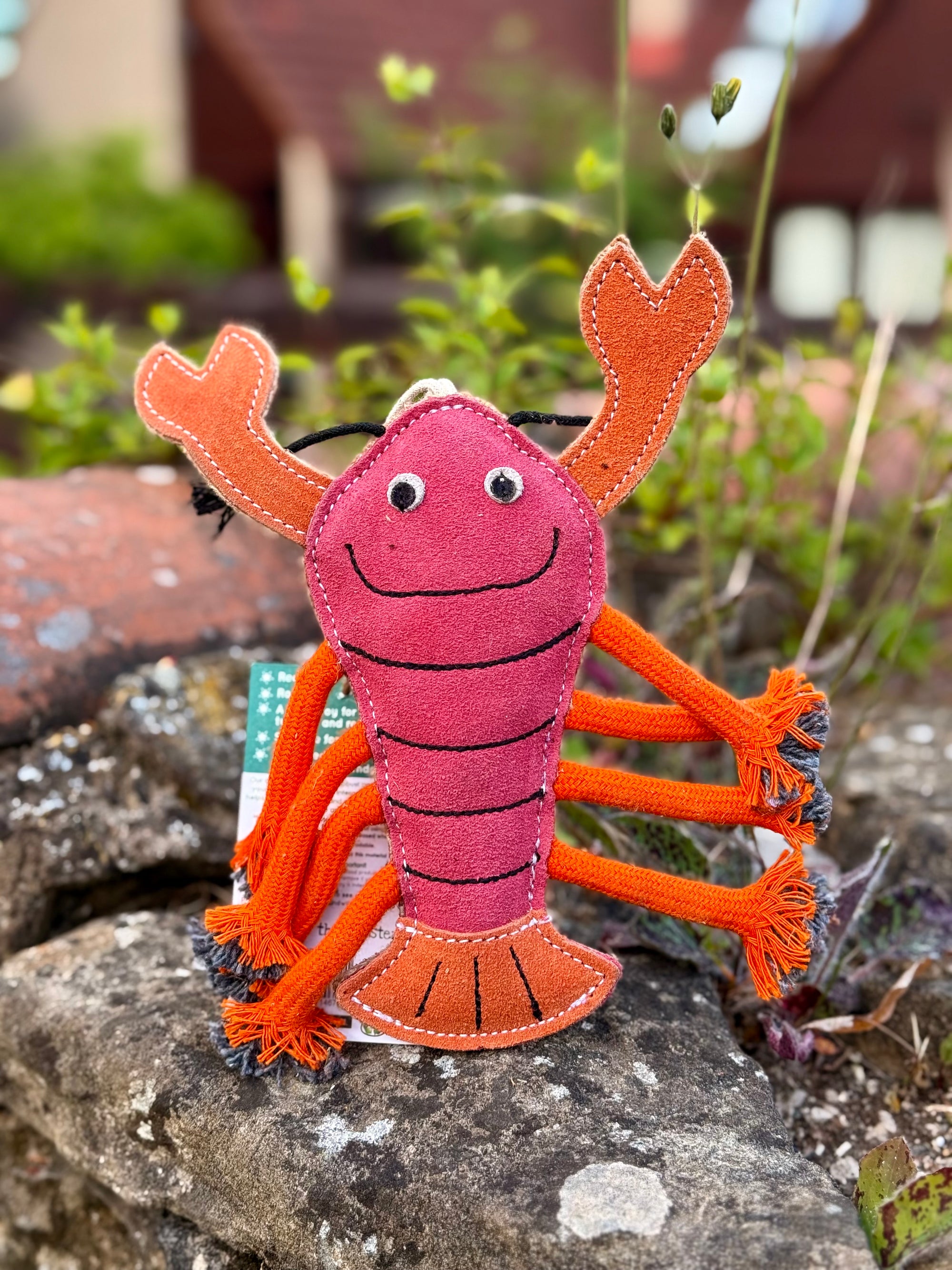 Green & Wild’s Larry The Lobster - Bodhi & The Birchtree