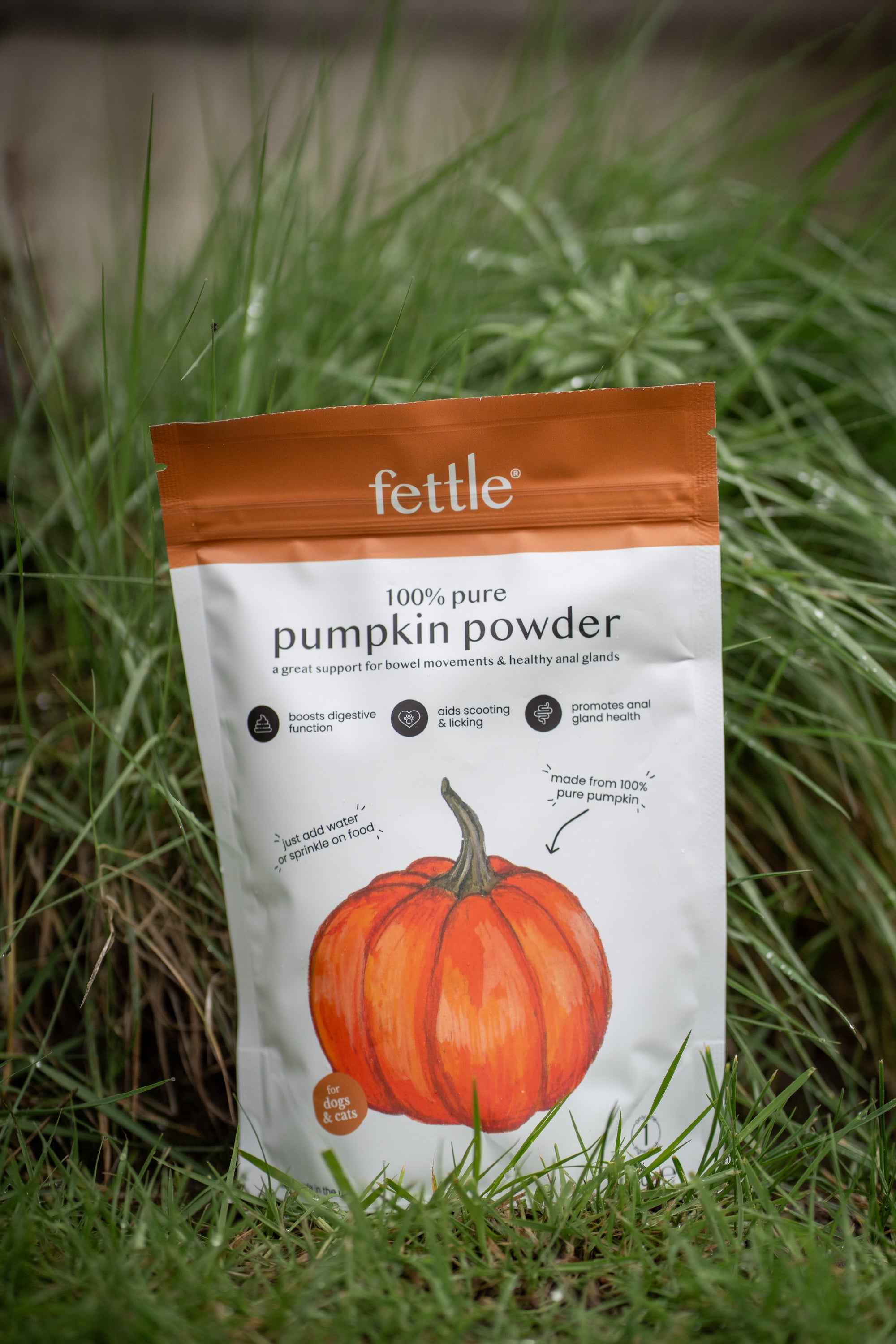 Fettle Pumpkin Powder For Dogs - Bodhi &amp; The Birchtree