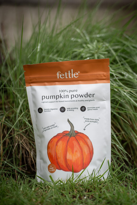 Fettle Pumpkin Powder For Dogs - Bodhi & The Birchtree