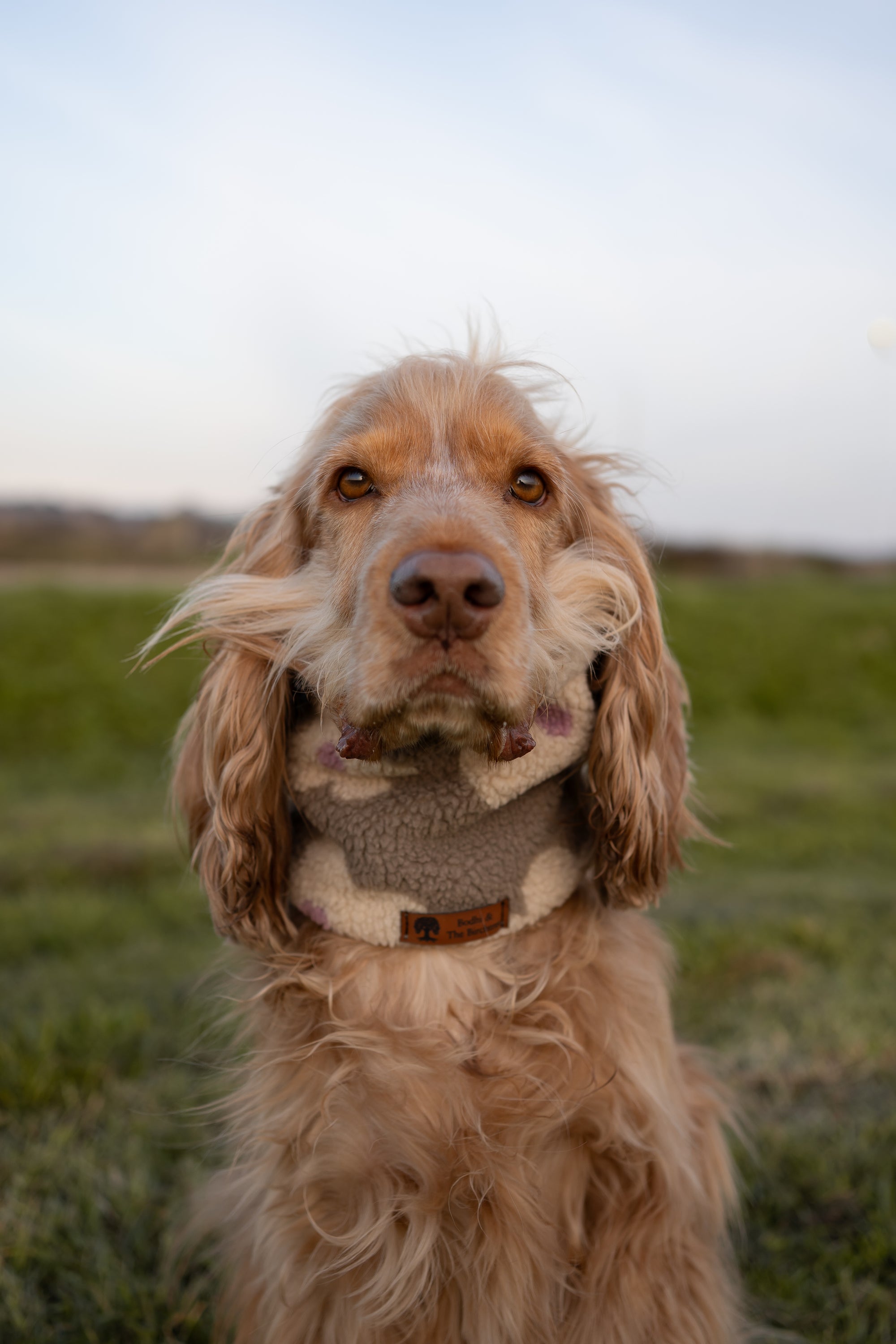 Teddy Fleece Flowers Snood - Taupe - Bodhi & The Birchtree