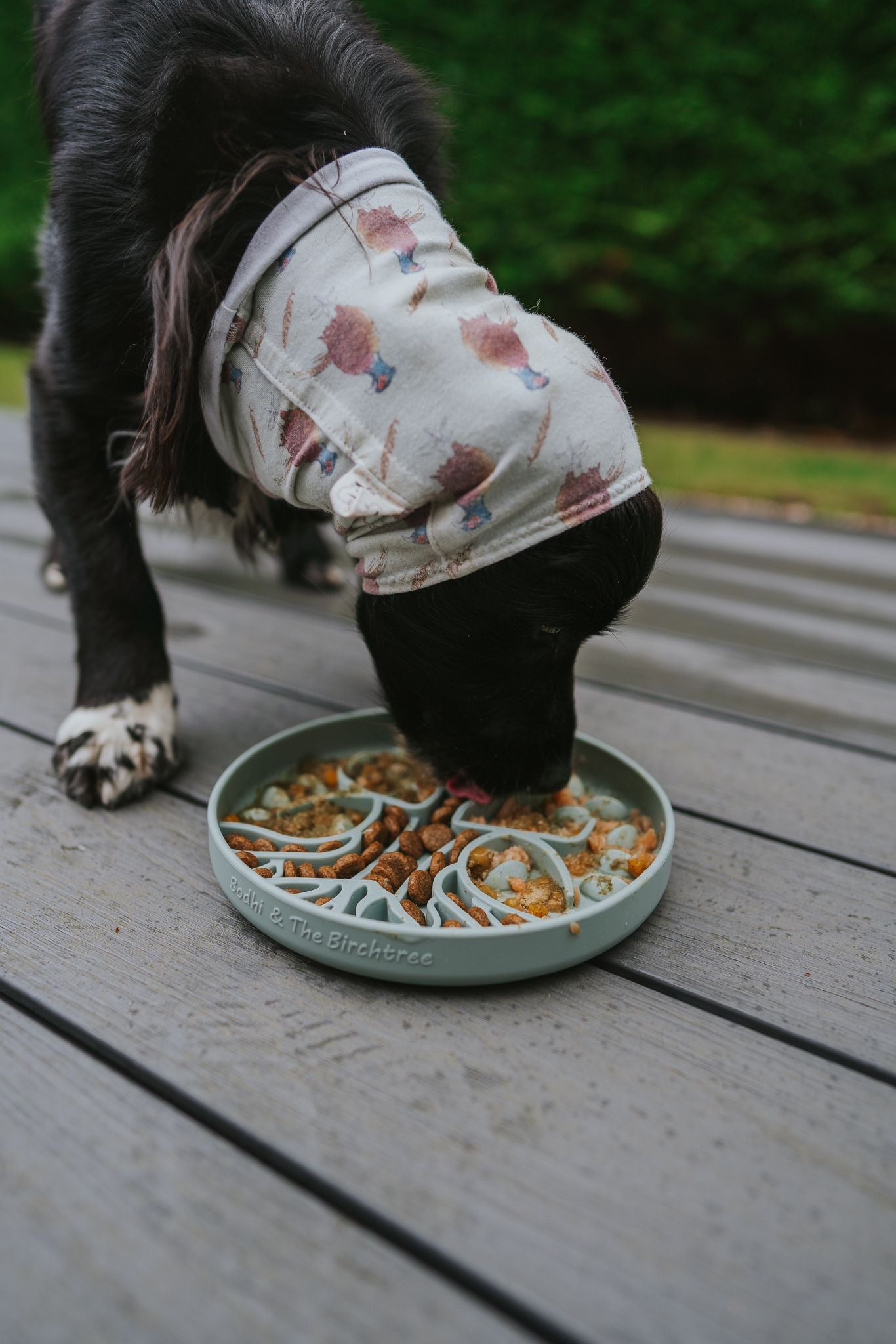 Bodhi & The Birchtree The Evergreen Collection - Alpine Slow Feeder Bowl