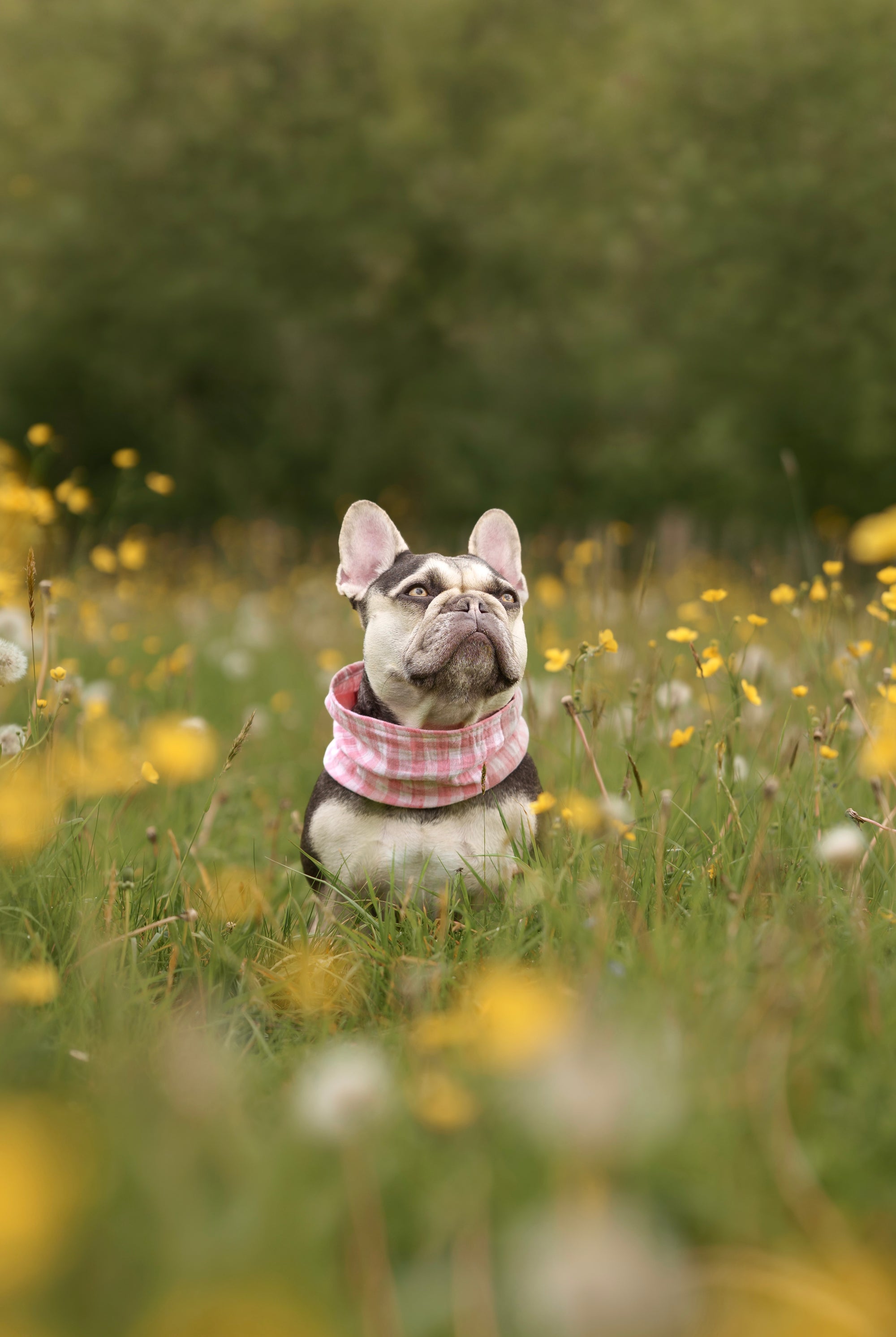 Pink Gingham Summer Cooling Snood - Bodhi & The Birchtree