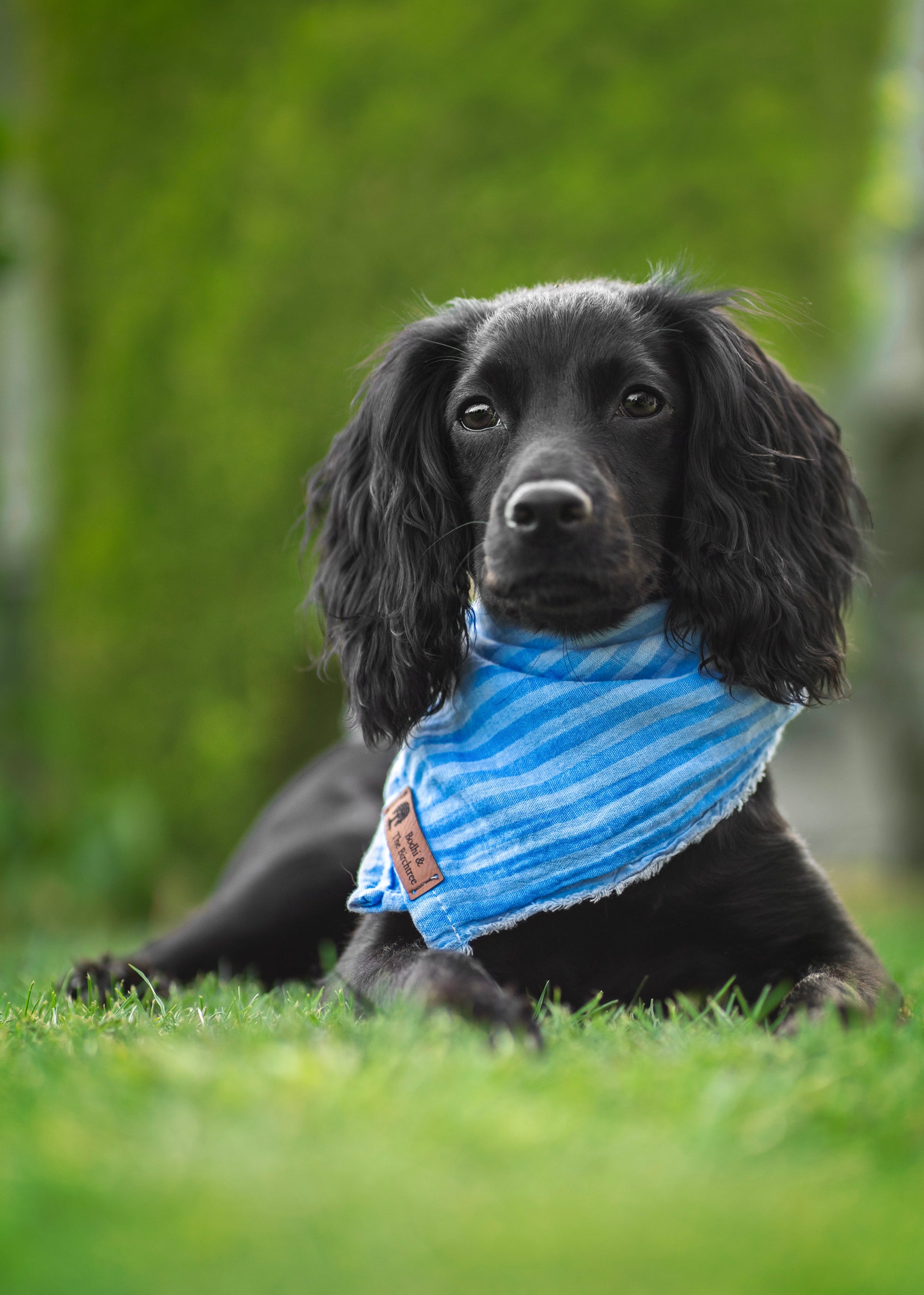 Blue Sky Summer Cooling Bandana - Bodhi & The Birchtree